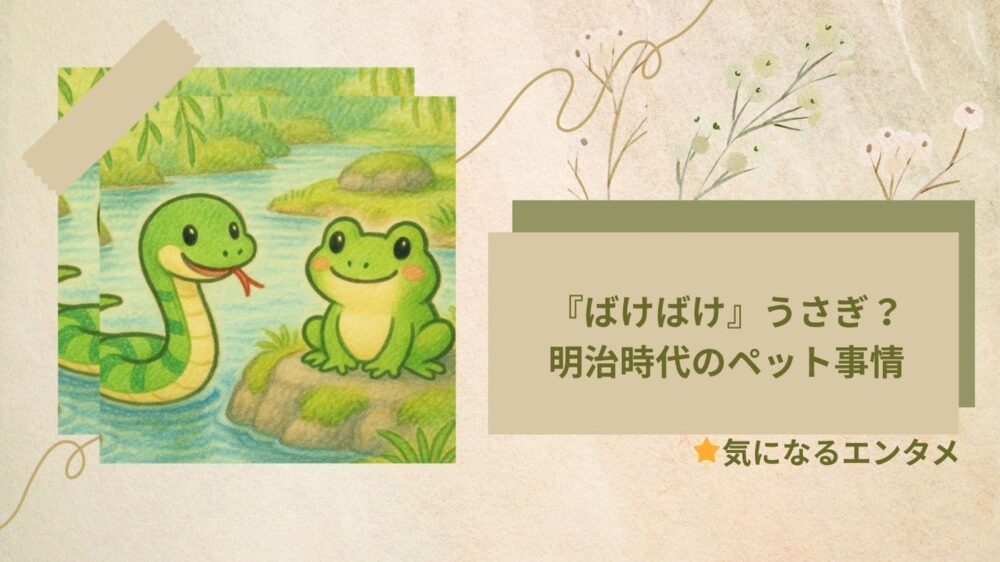 ばけばけペット事情
