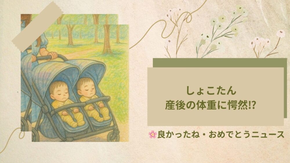 中川翔子体重